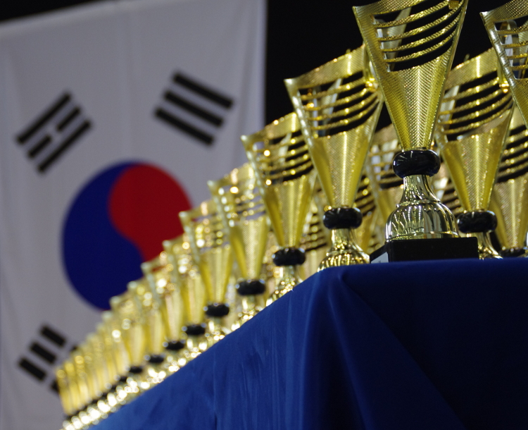 Pokale für Taekwon-Do Turnier